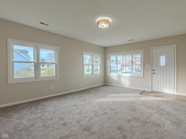 carpeted empty room featuring a wealth of natural light