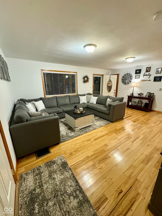 living room featuring hardwood / wood-style floors