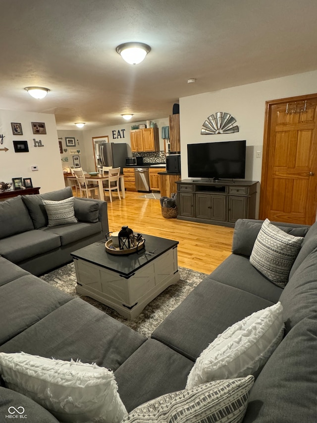 living room with light hardwood / wood-style floors