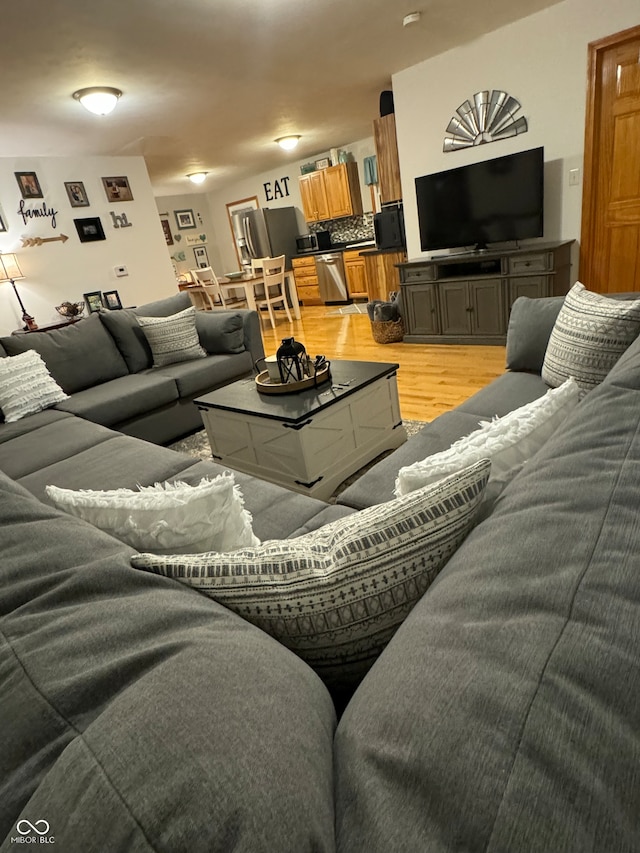 living room featuring light hardwood / wood-style floors