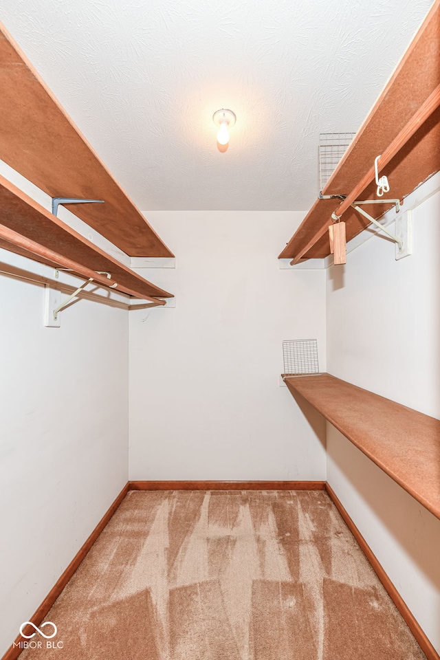 spacious closet featuring carpet flooring