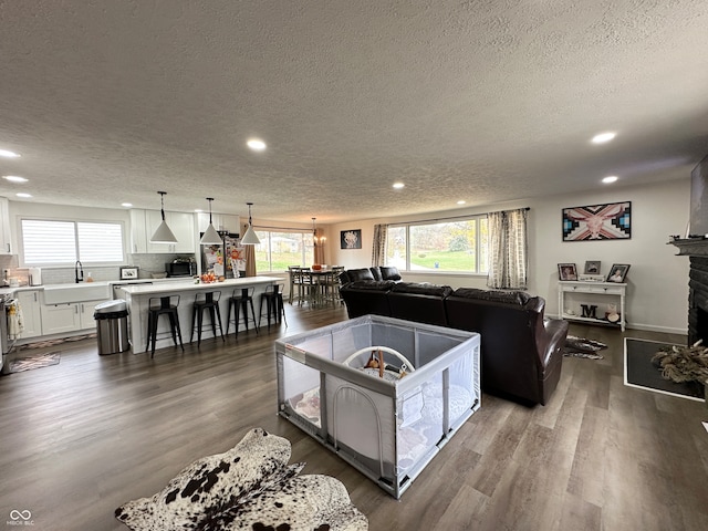 living room featuring dark hardwood / wood-style flooring, sink, and a textured ceiling