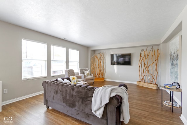 living room featuring hardwood / wood-style floors and a textured ceiling