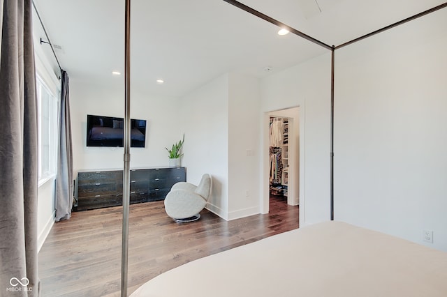 bedroom with a closet and wood-type flooring