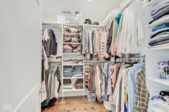 walk in closet featuring wood-type flooring