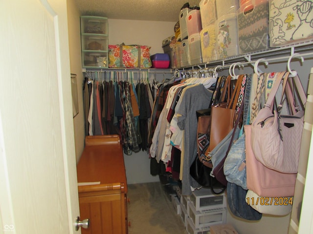 spacious closet with carpet floors
