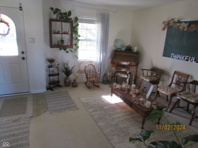 living room featuring carpet flooring