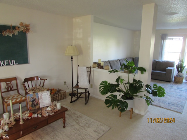 carpeted living room with a textured ceiling