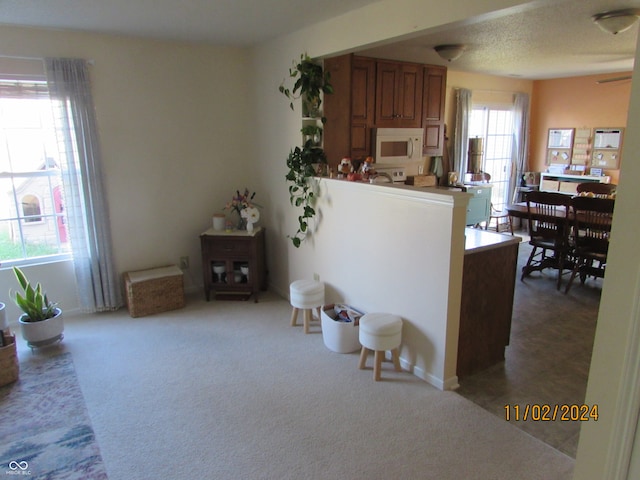 kitchen with kitchen peninsula, a textured ceiling, and carpet floors