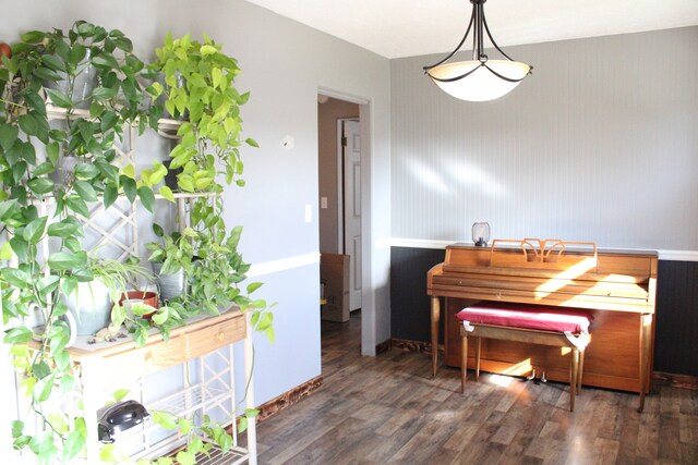 miscellaneous room featuring dark hardwood / wood-style floors