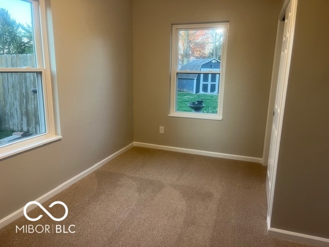 carpeted spare room with a wealth of natural light