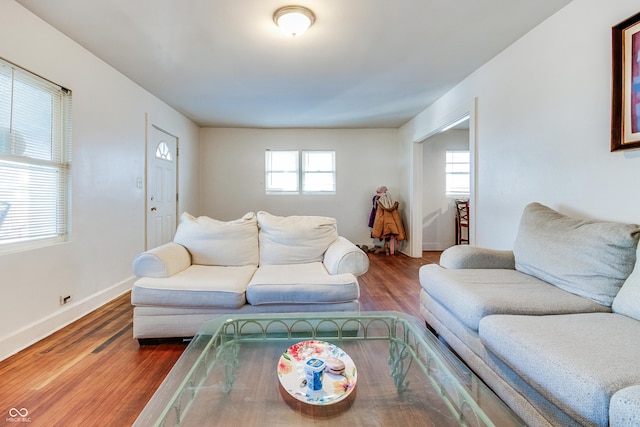 living room with wood-type flooring