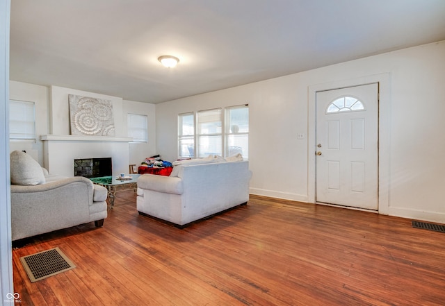 living room featuring wood-type flooring and a wealth of natural light