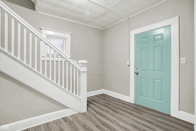 entryway featuring wood-type flooring