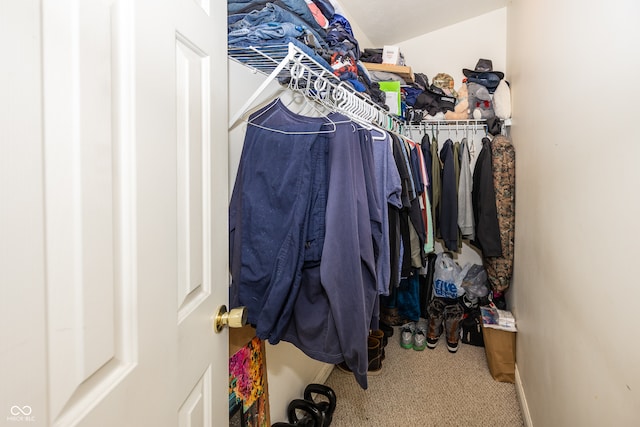 spacious closet with carpet