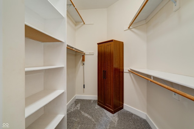 7290 Lockford Walk N, Avon, IN 46123 - spacious closet featuring dark colored carpet