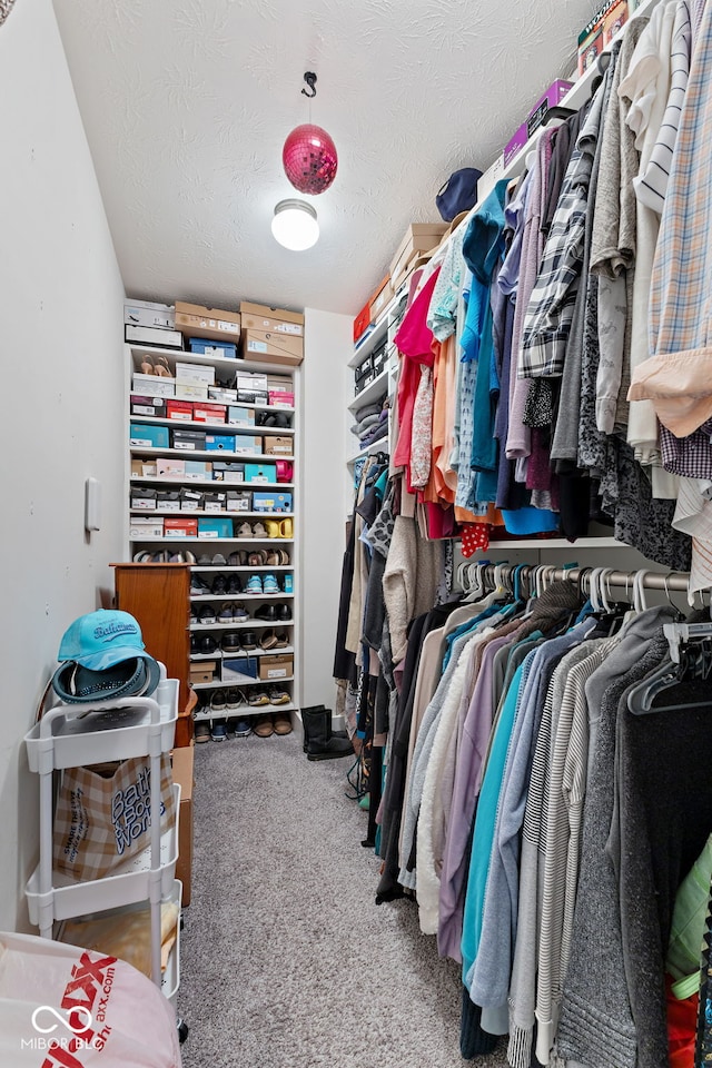 spacious closet featuring carpet