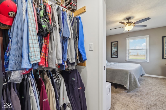 spacious closet featuring ceiling fan and carpet floors