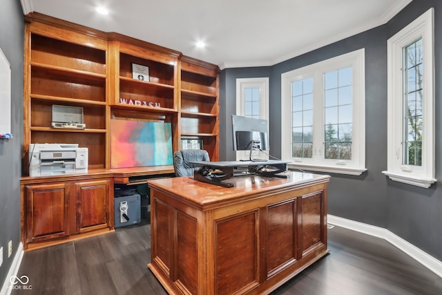 office area featuring dark hardwood / wood-style floors and ornamental molding