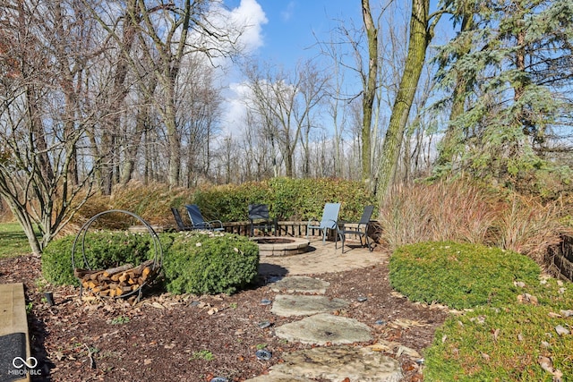 view of yard featuring a fire pit and a patio area