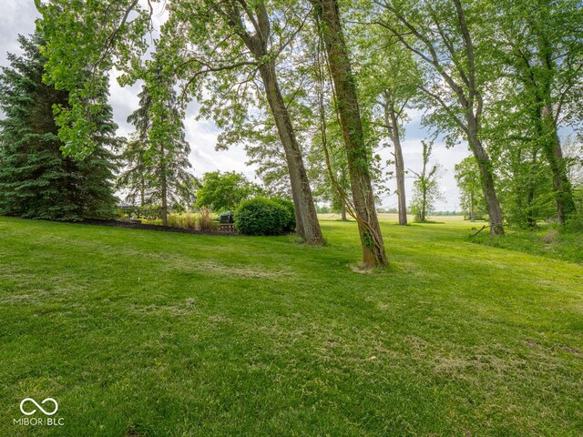 5784 N 600 E, Greenfield, IN 46140 - view of green lawn