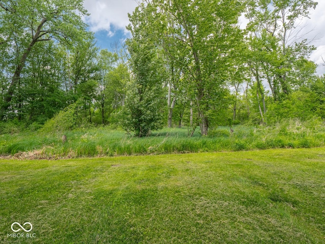 5784 N 600 E, Greenfield, IN 46140 - view of yard