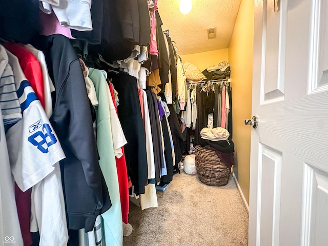 spacious closet with carpet floors