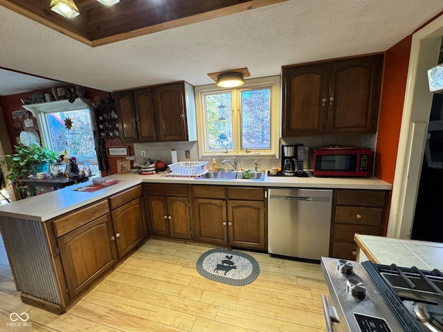 kitchen with stainless steel dishwasher, sink, light hardwood / wood-style floors, and plenty of natural light