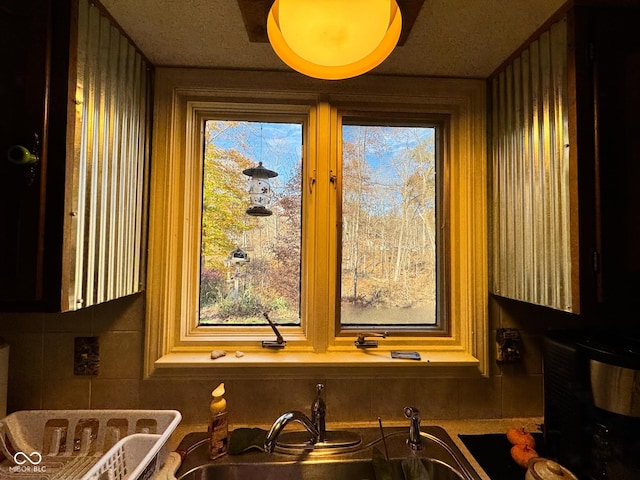 interior details featuring sink