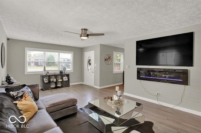 living room featuring wood-type flooring, a textured ceiling, and ceiling fan