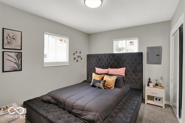 bedroom featuring electric panel and carpet flooring