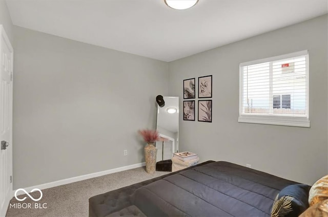 bedroom featuring carpet floors