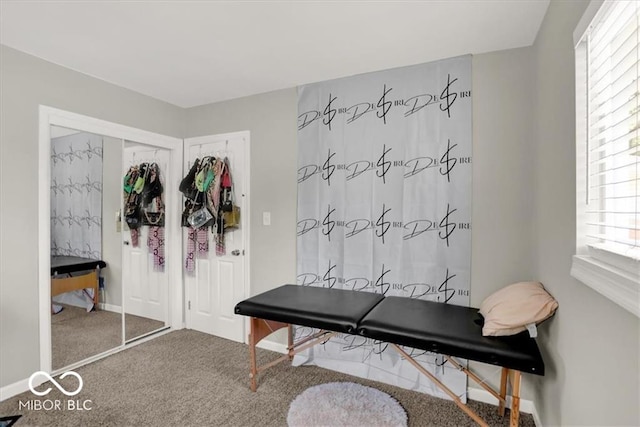 mudroom featuring carpet