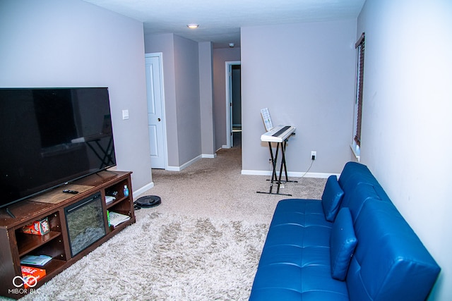 living room with carpet floors