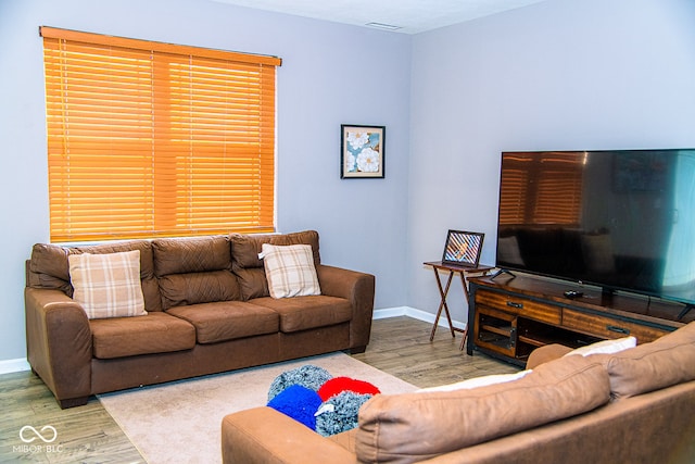 living room with hardwood / wood-style flooring