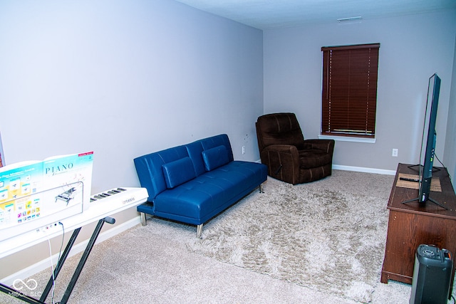 sitting room with carpet