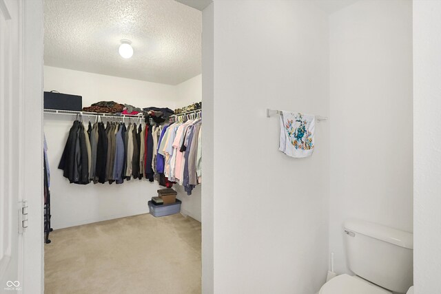 walk in closet with light carpet