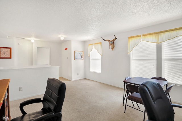 carpeted office space with a textured ceiling