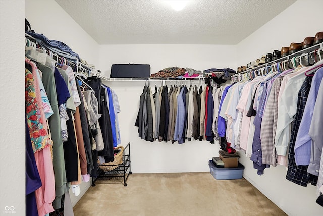 walk in closet with carpet floors