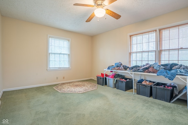 interior space with a healthy amount of sunlight and carpet flooring