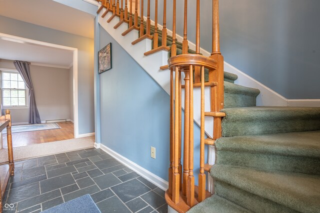 stairway featuring wood-type flooring and crown molding