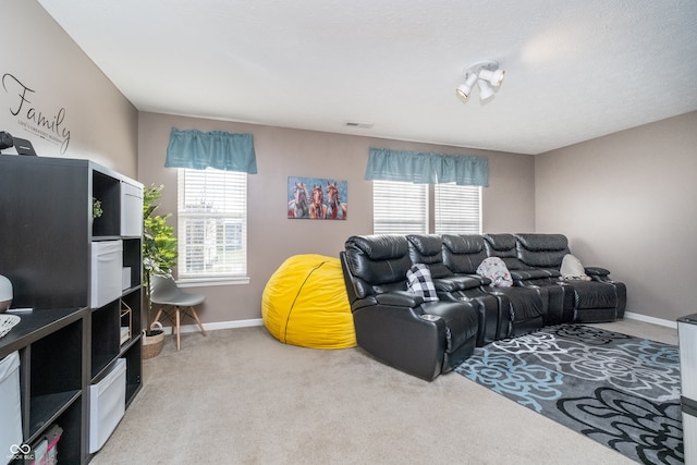 carpeted living room with a wealth of natural light