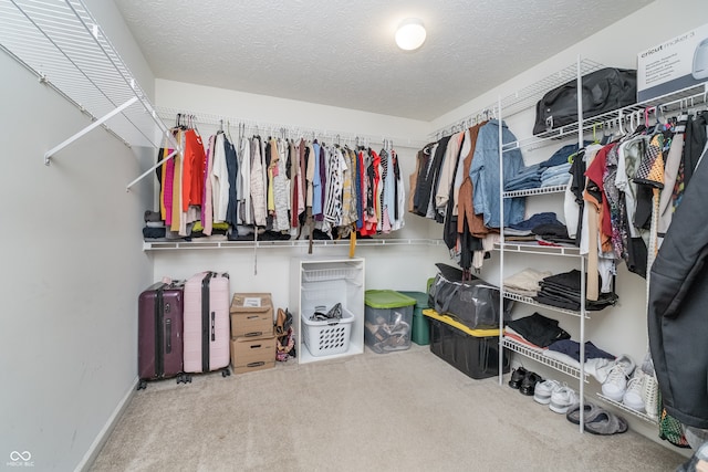 walk in closet featuring carpet