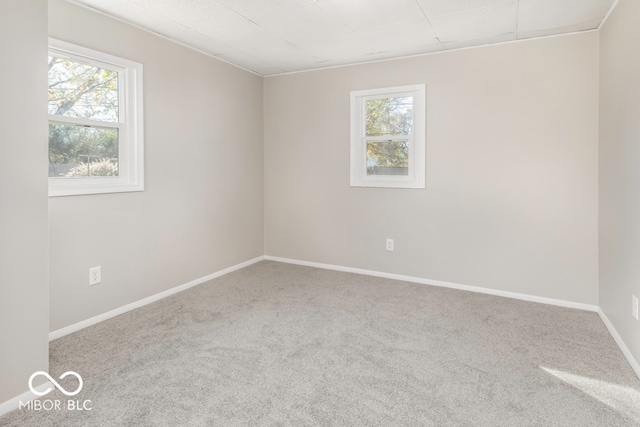 unfurnished room featuring a wealth of natural light and carpet floors