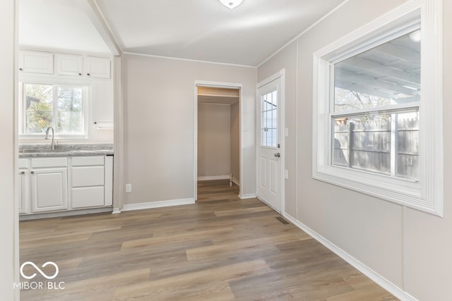 foyer entrance with a wealth of natural light, light hardwood / wood-style floors, and sink