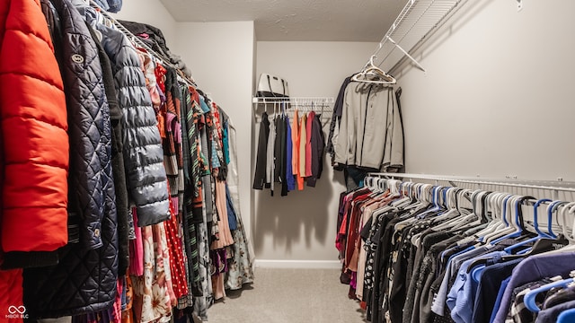 spacious closet featuring carpet flooring