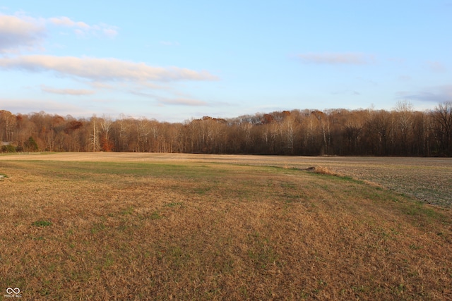 view of yard with a rural view