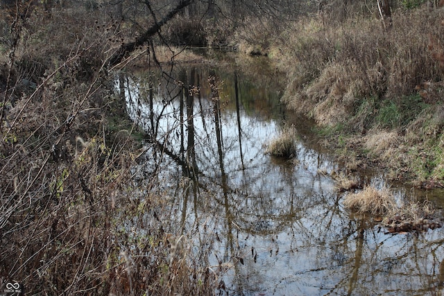 view of nature featuring a water view