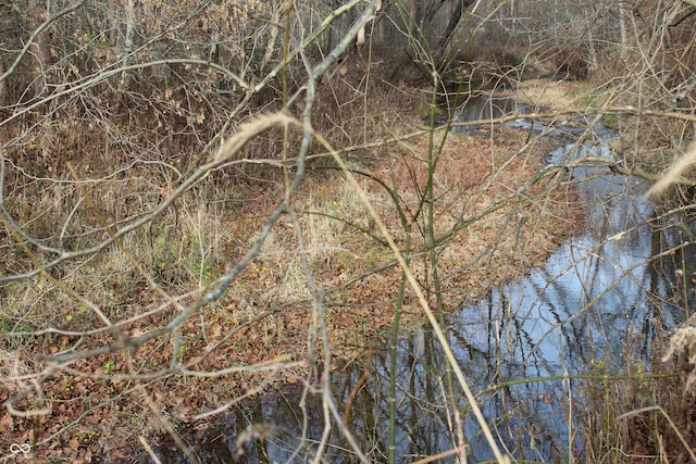 view of local wilderness