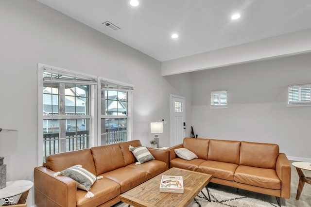 living room featuring hardwood / wood-style floors and a healthy amount of sunlight